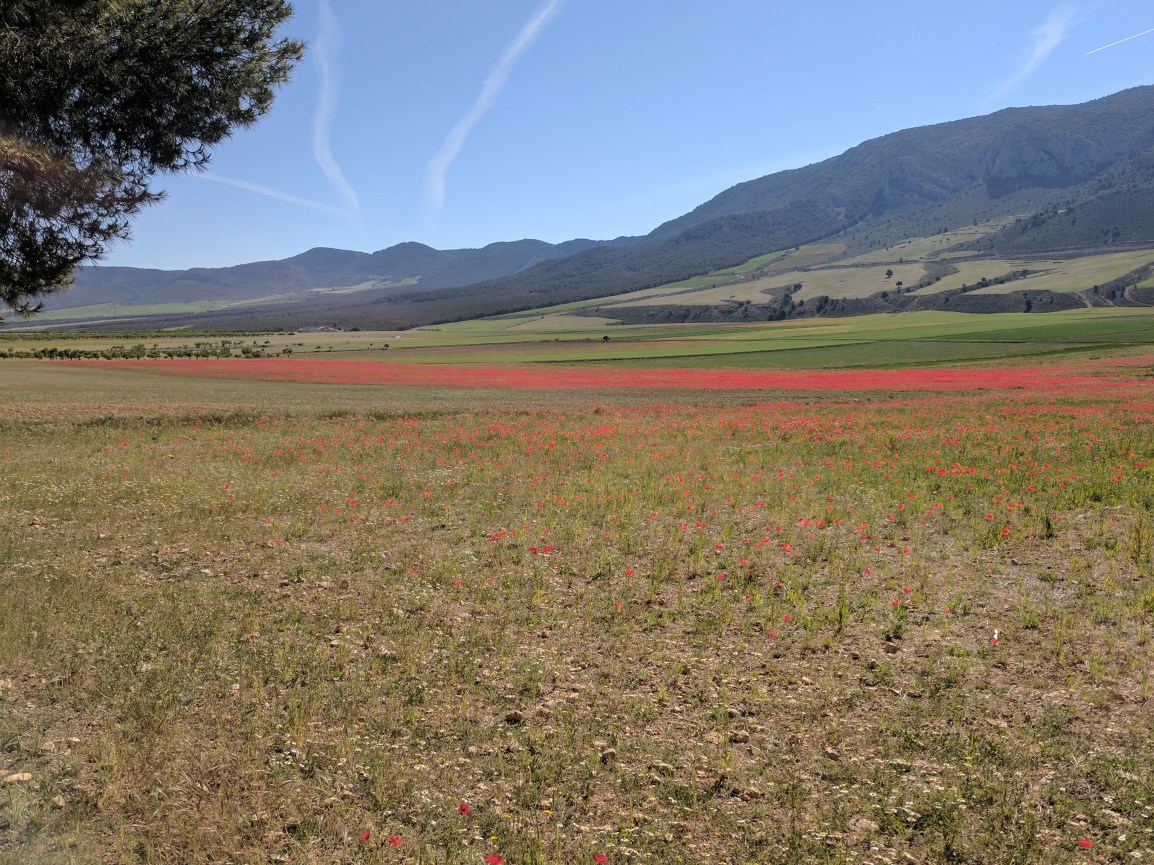 Baza to Puebla de Don&nbsp;Fadrique